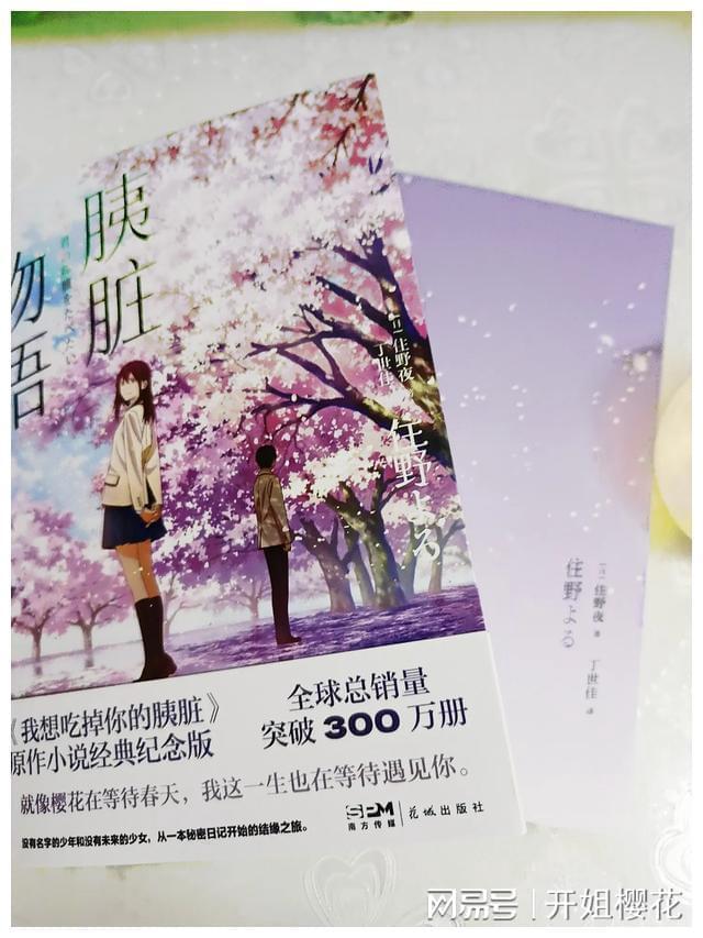 蓝狐视频